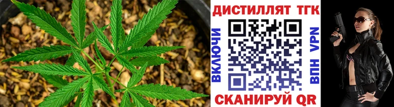 ТГК гашишное масло  kraken ТОР  Михайлов 